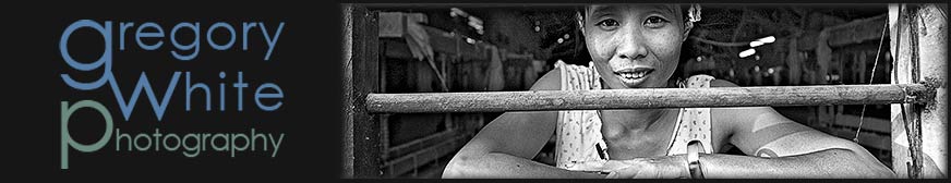 Random header image... Refresh for more!