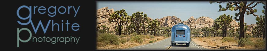 Random header image... Refresh for more!
