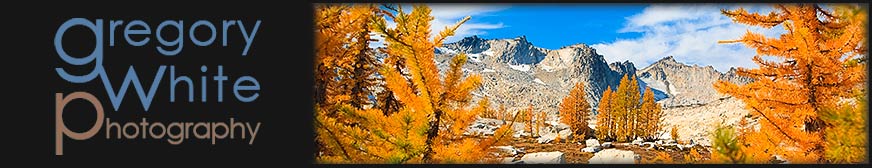 Random header image... Refresh for more!