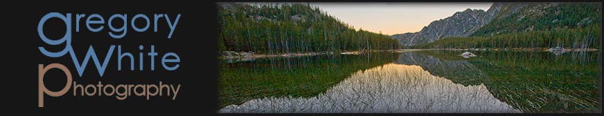 Random header image... Refresh for more!